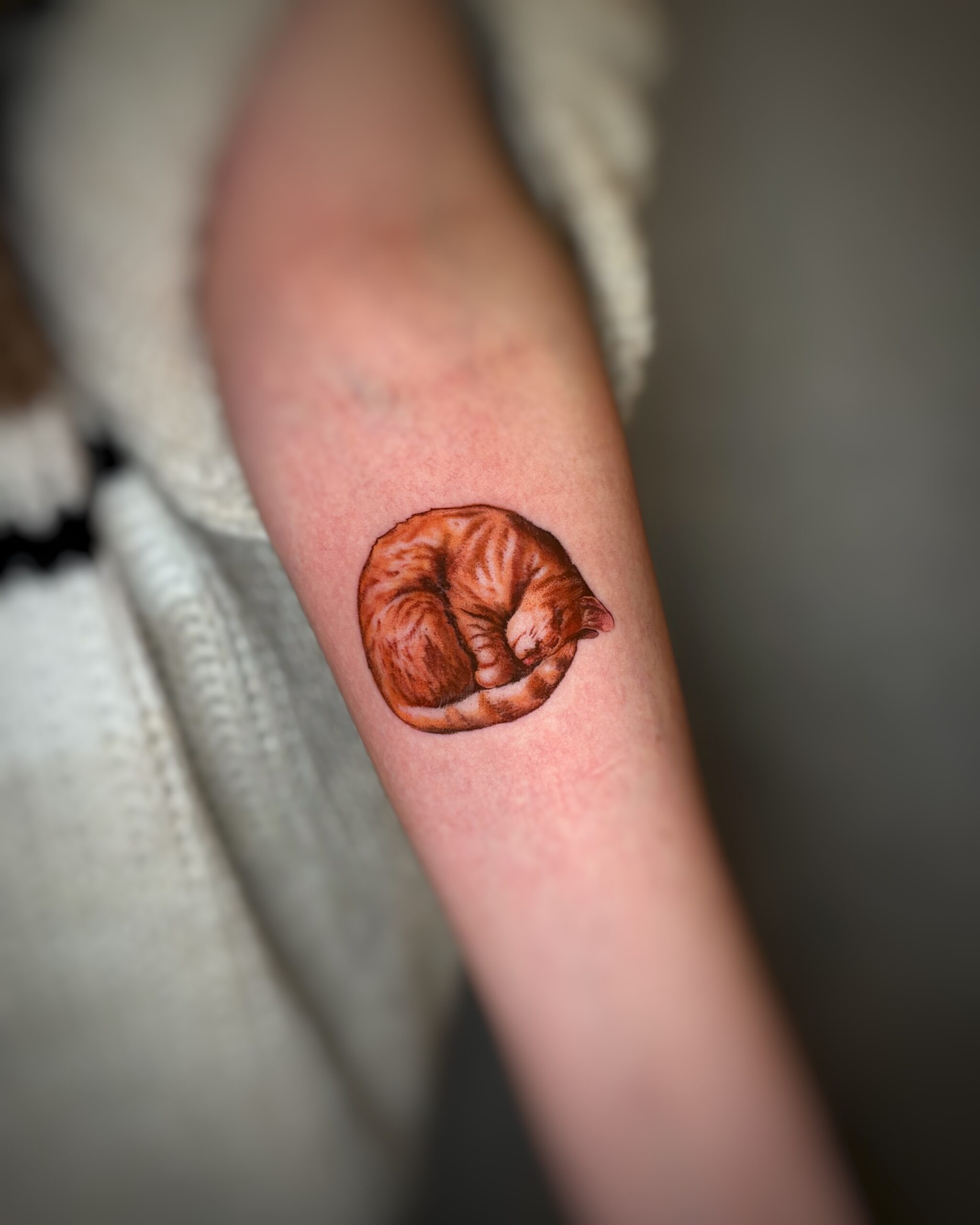 Img 5944 Snapseedcopy (2)
