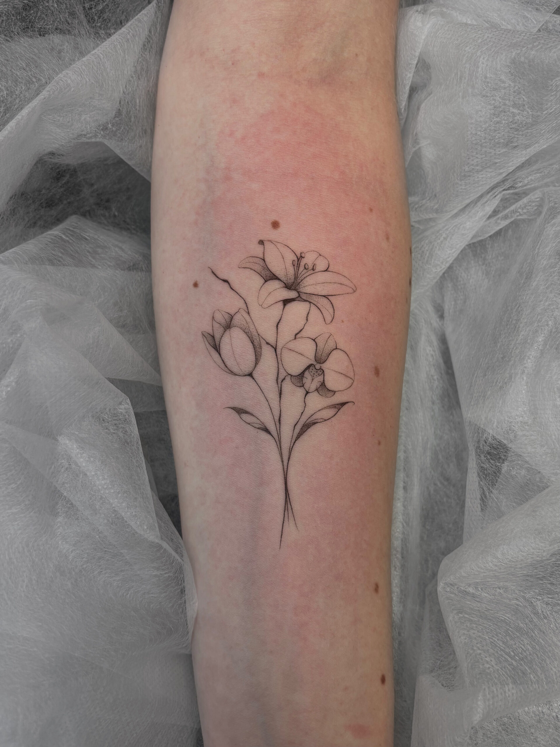 13e43d82 32e2 427b A0f2 C27466ae1af9