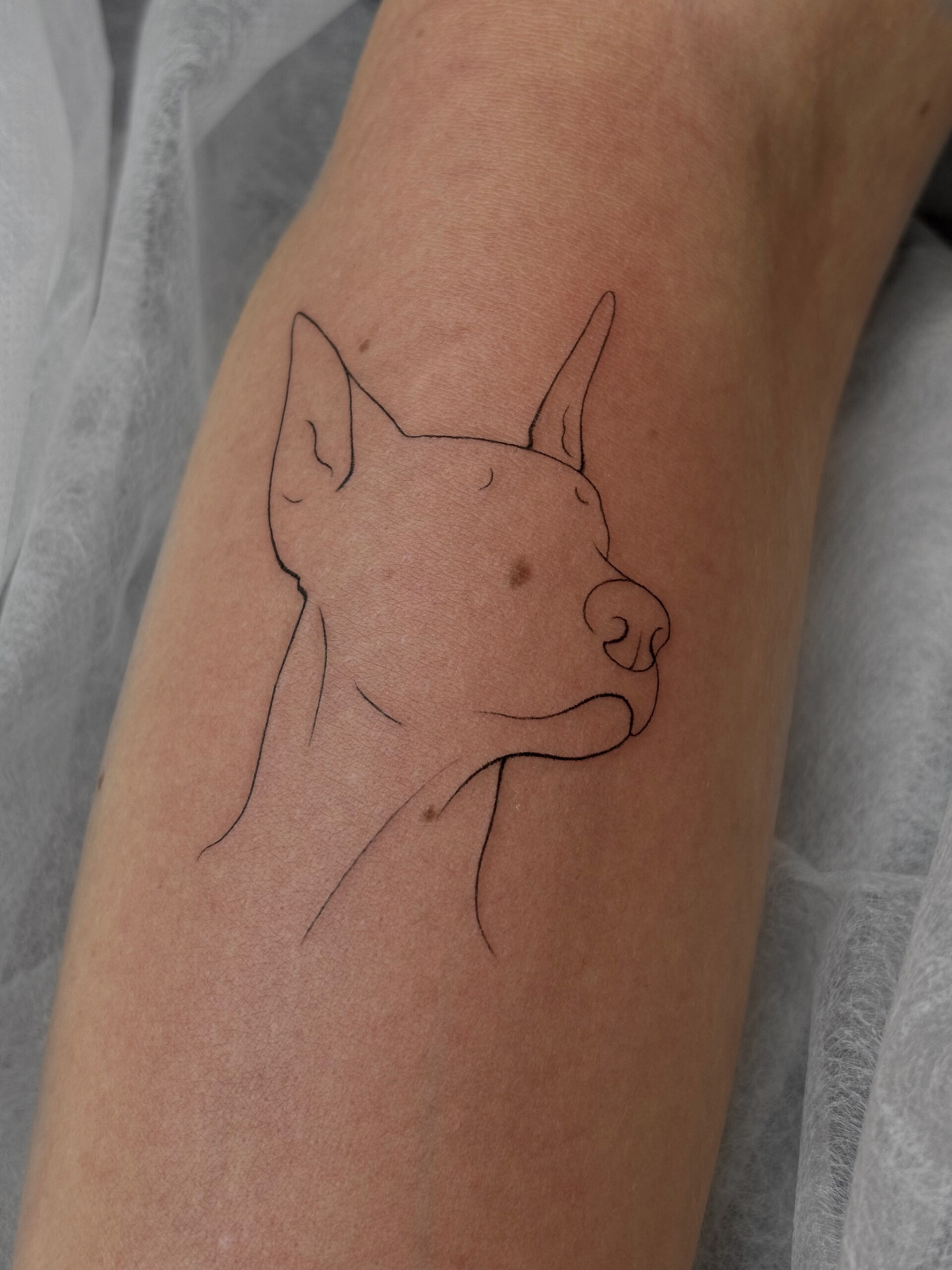 744c85bd Be6f 4148 Ab1c 8f944003251b