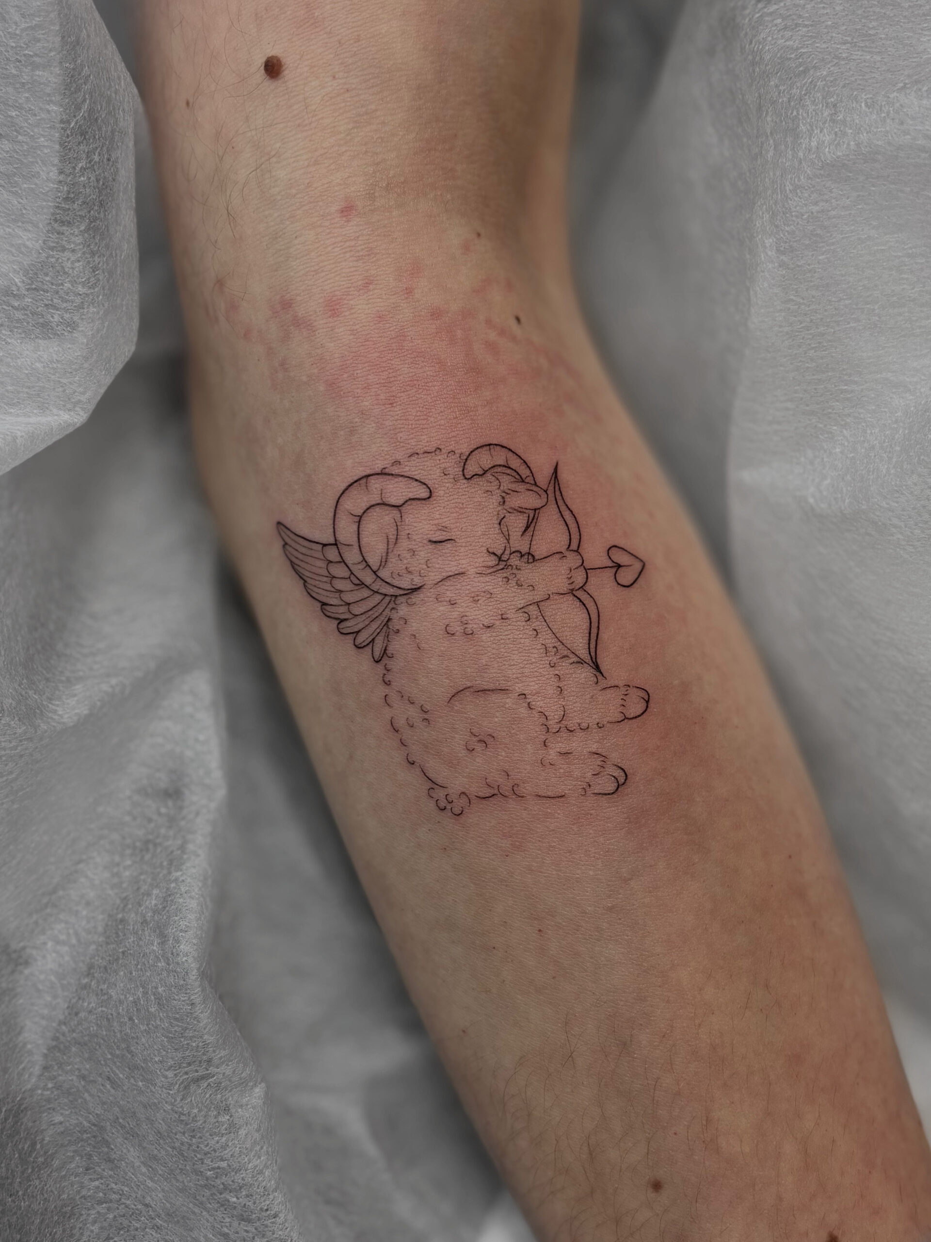 8024fad0 Ab88 4e2d A86b E0081fa59736