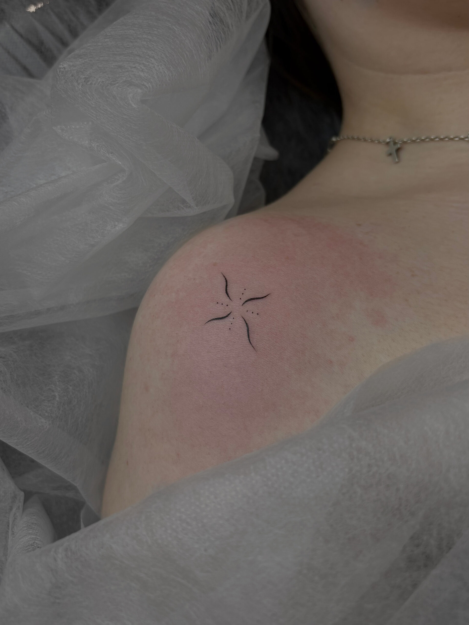 Fe35d4dd Ed41 4b7a 98df 1a1a68811e67